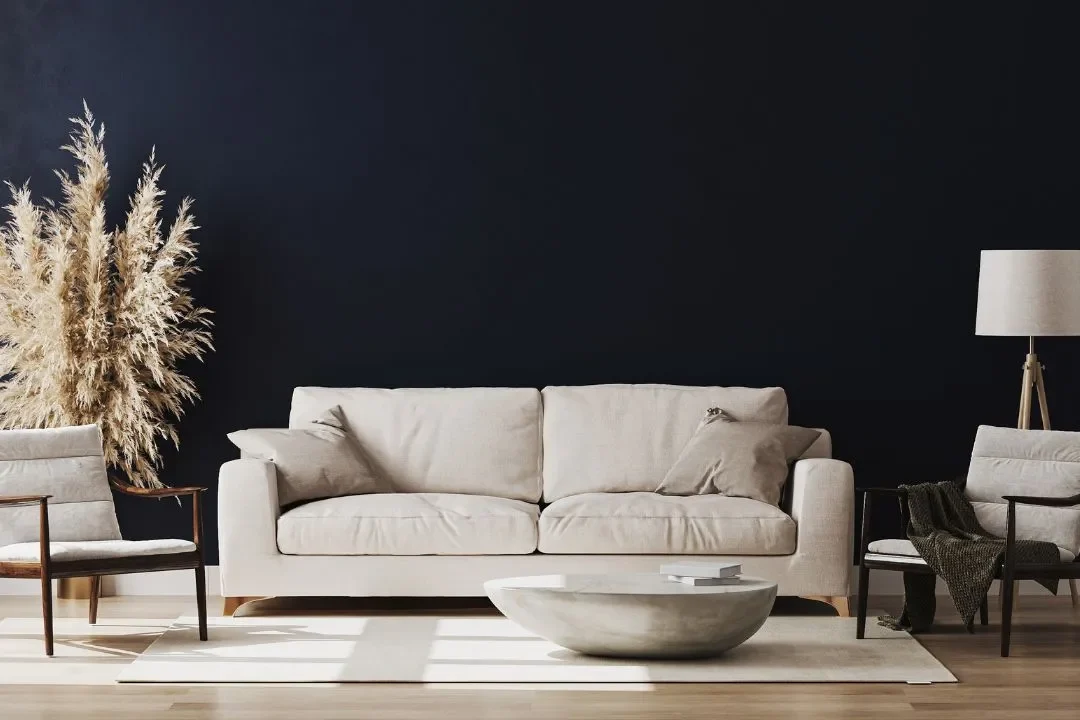 White couch atop a white carpet and in front of an all black wall | Image for the Rooming House Builders page.